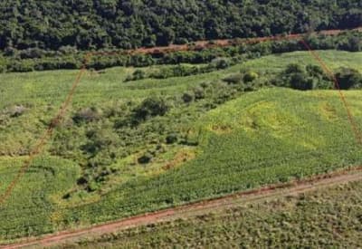 Foto 4 de 5: Area Rural em leilão em Formosa Do Oeste - PR, bairro Bonito — IMÓVEL RURAL COM ÁREA DE 2,00 ALQUEIRES, EM BAIRRO BONITO- FORMOSA DO OESTE/PR