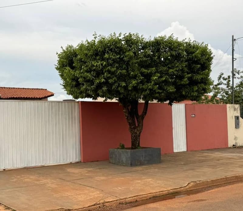 Foto 2 de 3: Casa em leilão em Santo Antônio Do Leste - MT, bairro Centro — Casa, Santo Antonio Do Leste / MT