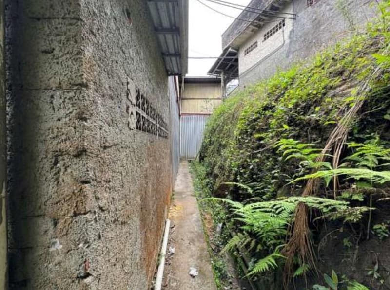 Foto 59 de 122: Terreno em leilão em Schroeder - SC — Terreno situado à Estrada Schroeder I, área de 94.840m², Schoeder/SC