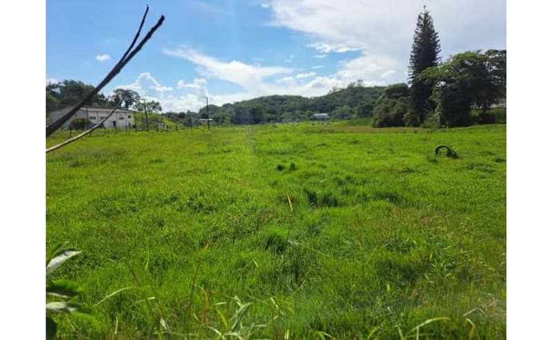 Foto 4 de 64: Terreno em leilão em Blumenau - SC — Um imóvel com área total de 102.114,74m² em Blumenau/SC