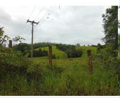 Foto 3 de 6: Terreno em leilão em Taió - SC — TERRENO RURAL com área total de 5.700 m²