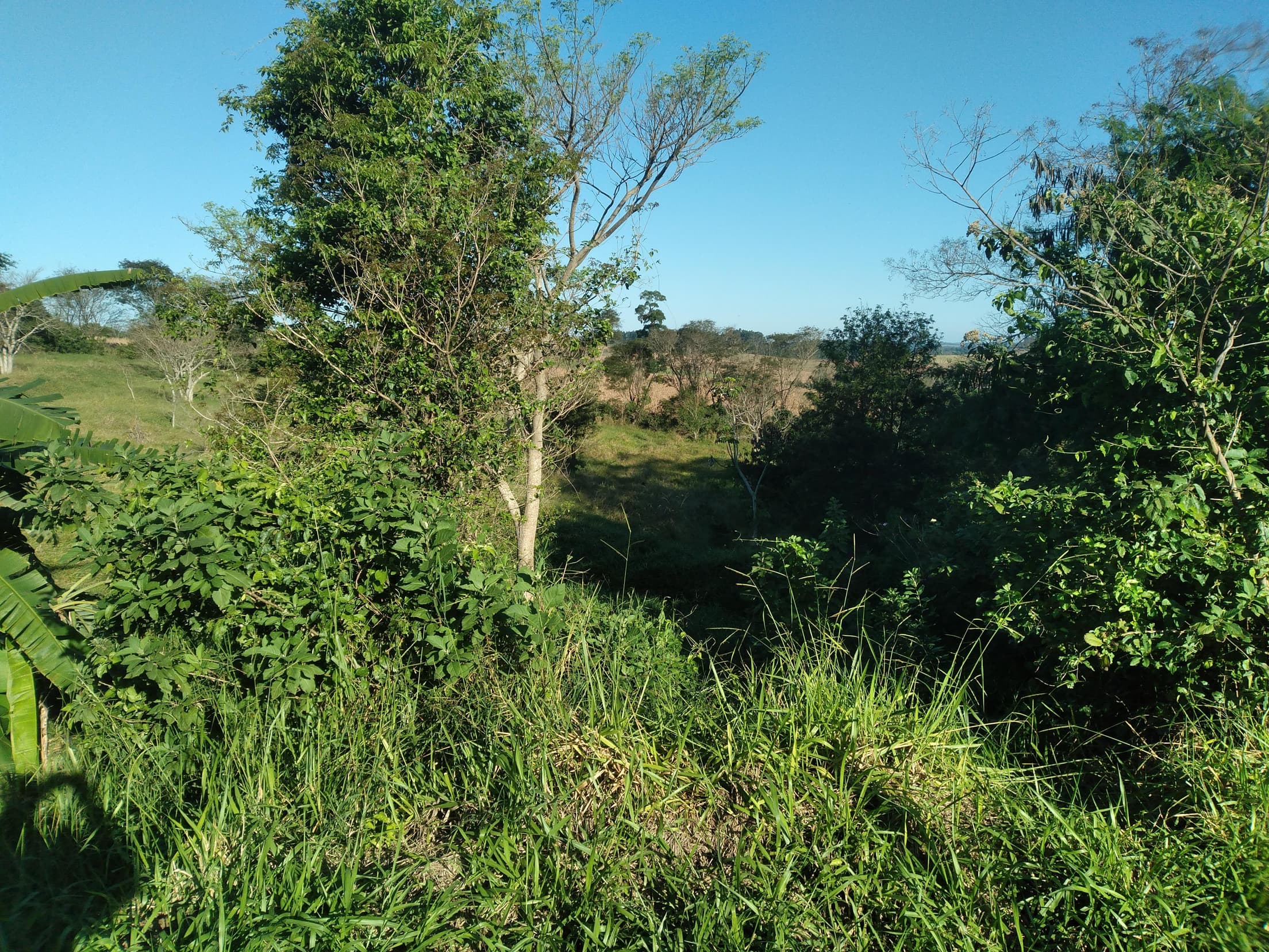 Foto 26 de 41: Area Rural em leilão em Capitão Leônidas Marques - PR — Gleba Urbana Desocupada 27.837m2 no Bairro São Gabriel em Capitão Leonidas Marques/PR