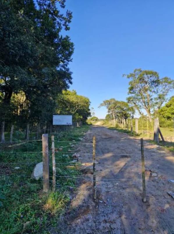 Foto 1 de 4: Terreno em leilão em São Francisco Do Sul - SC — Terras rurais com área de 67.905,74m² - São Francisco do Sul/SC