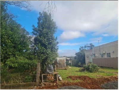 Foto 13 de 23: Area Rural em leilão em Francisco Beltrão - PR, bairro São Miguel — Parte ideal correspondente a 19.150,00 , contendo uma área superficial de 94.839,10m² - Colônia Missões, Francisco Beltrão/PR