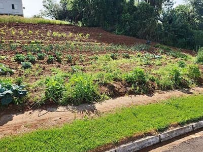 Foto 4 de 7: Terreno em leilão em Vista Gaúcha - RS — LOTE URBANO Nº 7 DA QUADRA 28, COM A ÁREA SUPERFICIAL DE 296,98M² SITUADO NA CIDADE DE VISTA GAÚCHA/RS