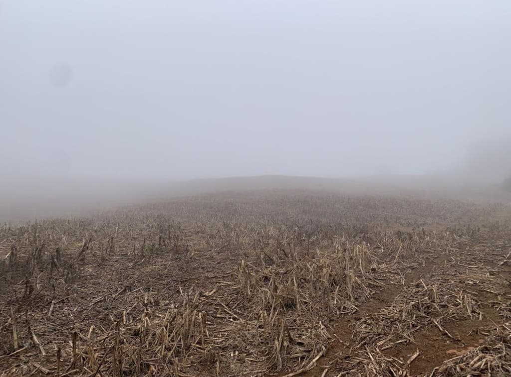 Foto 5 de 12: Area Rural em leilão em Viadutos - RS — IMÓVEL RURAL COM ÁREA TOTAL DE 13,18750 HA EM VIADUTOS-RS