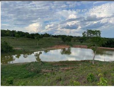 Foto 5 de 10: Area Rural em leilão em Monte Santo Do Tocantins - TO — IMÓVEL RURAL, FAZENDA FARTURA II, 140,9088HA, MONTE SANTO 1 EM MONTE SANTO DO TOCANTINS/TO - EXPLORAÇÃO DE PECUÁRIA