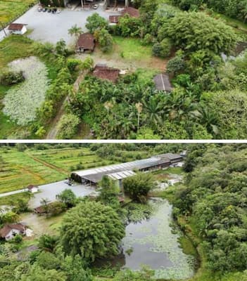 Foto 5 de 122: Terreno em leilão em Schroeder - SC — Terreno situado à Estrada Schroeder I, área de 94.840m², Schoeder/SC