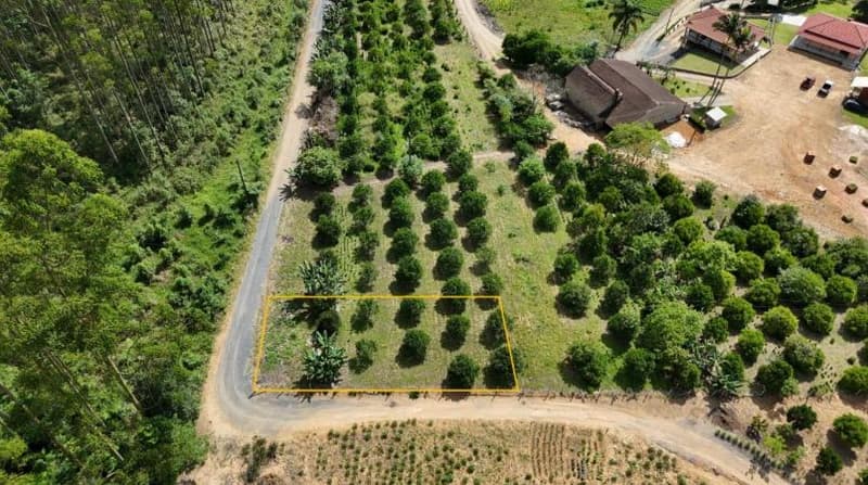 Foto 2 de 6: Terreno em leilão em Dona Emma - SC — IMÓVEL URBANO COM ÁREA TOTAL DE 453,04 m2- Em DONA EMMA/SC