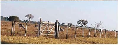 Foto 4 de 7: Area Rural em leilão em Camapuã - MS — FAZENDA ÁGUA BOA, 888 HA, CASA SEDE, CURRAL, GALPÃO, EXCELENTE HIDROGRAFIA EM CAMAPUÃ/MS