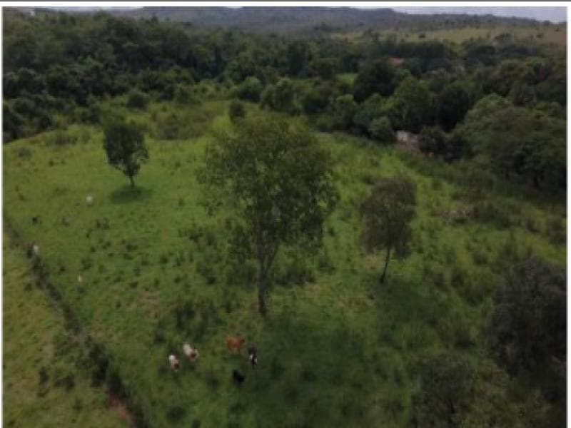 Foto 2 de 8: Area Rural em leilão em Brasília - DF — Area, 2.02 ha, Brasilia / DF