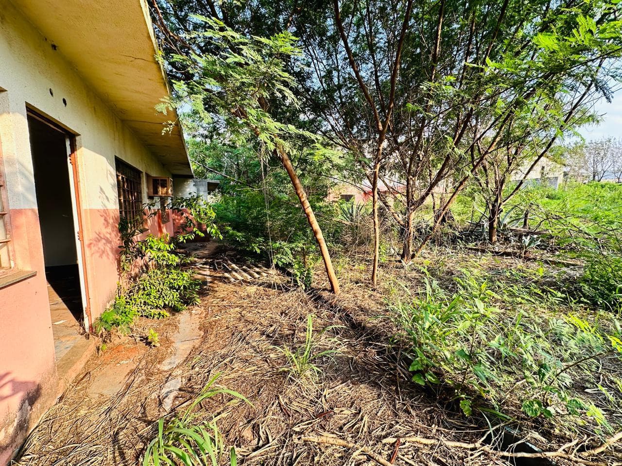 Foto 13 de 28: Comercial em leilão em Umuarama - PR — Galpão Industrial com área de 1.311m², área de terreno de 6.000m² - Umuarama/PR