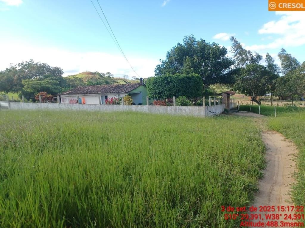 Foto 7 de 10: Area Rural em leilão em Cícero Dantas - BA — IMÓVEL RURAL Em CÍCERO DANTAS/BA