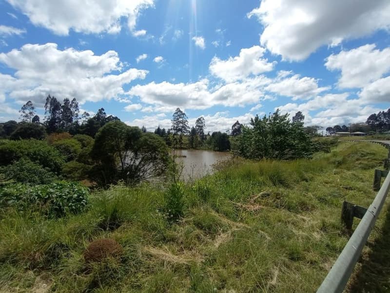 Foto 11 de 11: Area Rural em leilão em Timbó Grande - SC, bairro Interior — IMÓVEL RURAL COM ÁREA TOTAL DE 8,8804 hectares EM TIMBÓ GRANDE-SC