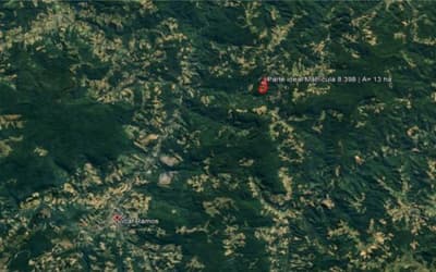 Foto 2 de 15: Terreno em leilão em Vidal Ramos - SC, bairro Área Rural — IMÓVEL RURARL COM ÁREA TOTAL DE 13.000 ha,- Em VIDAL RAMOS/SC