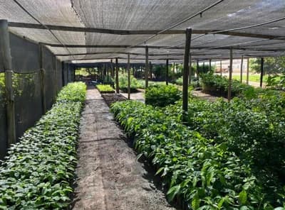 Foto 1 de 14: Comercial em leilão em Posse - GO — IMÓVEIS RESIDENCIAL, COMERCIAL E RURAL | POSSE/GO