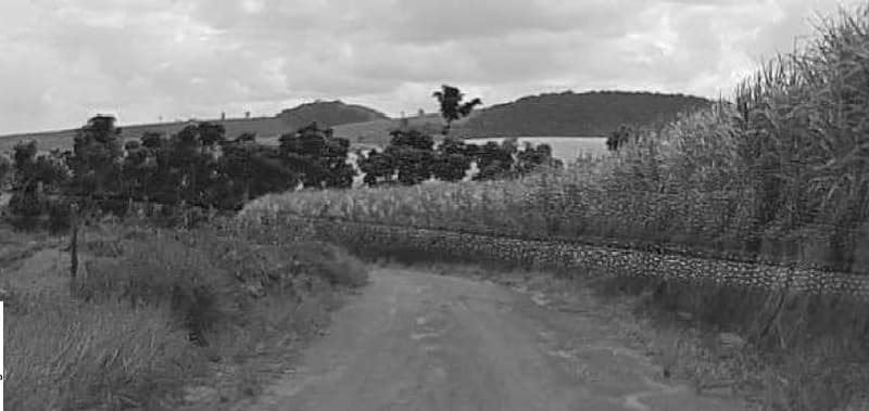 Foto 7 de 10: Area Rural em leilão em Porto Calvo - AL — IMÓVEL RURAL OBJETO DA MATRÍCULA 1.947 DO CARTÓRIO DE REGISTRO DE IMÓVEIS DA COMARCA PORTO CALVO/AL