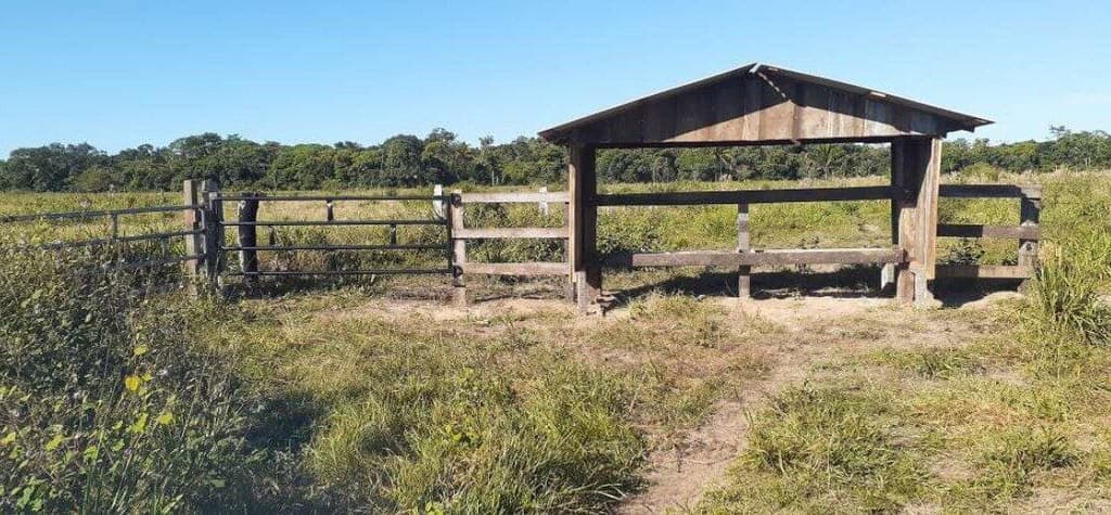 Foto 6 de 7: Area Rural em leilão em Corumbiara - RO — IMÓVEL RURAL | AT. 41,1017 HA E AC 35,7866 | CORUMBIARA/RO
