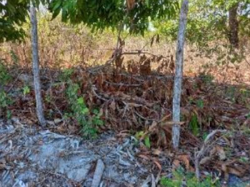 Foto 3 de 5: Terreno em leilão em Pacajus - CE, bairro Curimatã — Lote, Pacajus / CE