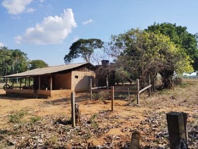 Foto 10 de 13: Area Rural em leilão em Porto Dos Gaúchos - MT — Imóvel Rural com área de 53 hectares - Porto dos Gaúchos/MT
