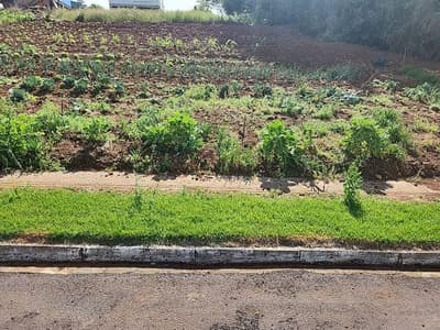 Foto 1 de 7: Terreno em leilão em Vista Gaúcha - RS — LOTE URBANO Nº 7 DA QUADRA 28, COM A ÁREA SUPERFICIAL DE 296,98M² SITUADO NA CIDADE DE VISTA GAÚCHA/RS
