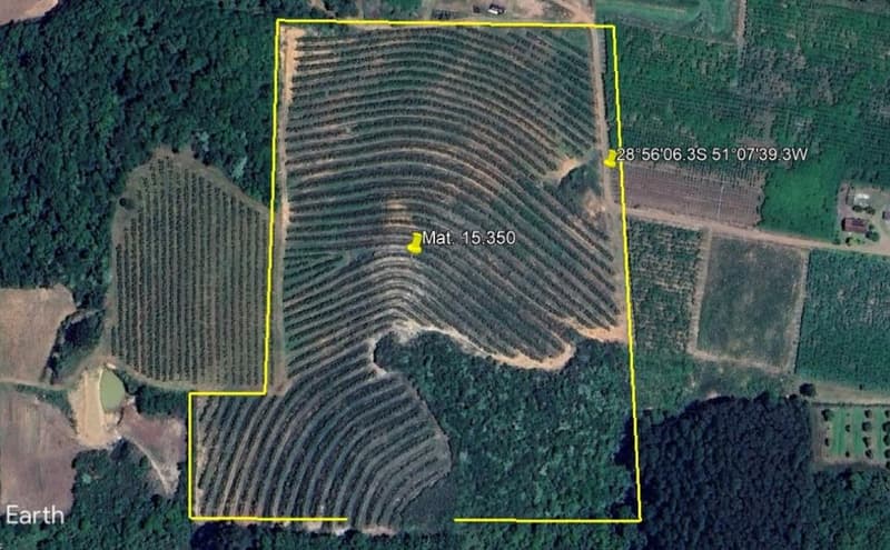 Foto 6 de 6: Area Rural em leilão em São Marcos - RS, bairro Interior — IMÓVEL RURAL COM ÁREA DE 62.250,00 M2 LINHA RIACHUELO EM SÃO MARCOS -RS