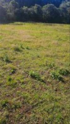 Foto 3 de 3: Imóvel em leilão em Erval Seco - RS — IMÓVEL URBANO COM ÁREA TOTAL DE 1.250,00m² - ERVAL SECO/RS