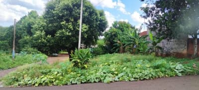 Foto 2 de 3: Terreno em leilão em Paiçandu - PR — Terreno urbano com área de 291,50m², sem benfeitorias, situado no Jardim Santa Luzia, Paiçandu/PR