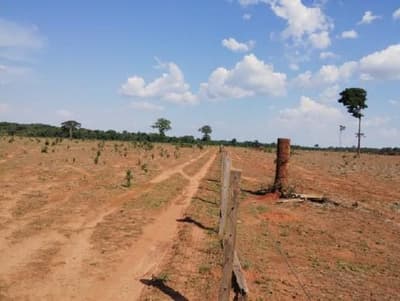 Foto 8 de 13: Area Rural em leilão em Porto Dos Gaúchos - MT — Imóvel Rural com área de 53 hectares - Porto dos Gaúchos/MT