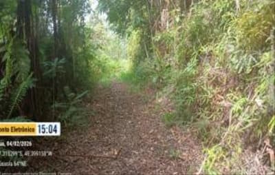 Foto 7 de 7: Area Rural em leilão em Presidente Nereu - SC, bairro Rio Antinha — IMÓVEL RURAL COM ÁREA TOTAL DE 35,000 ha, EM PRESIDENTE NEREU/SC