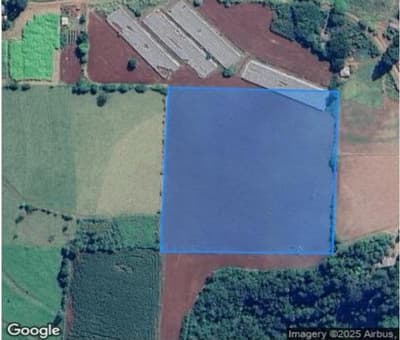 Foto 5 de 5: Area Rural em leilão em Rio Branco Do Ivaí - PR — IMÓVEL RURAL COM ÁREA DE 3,9279 hectares- Em GRANDES RIOS/PR