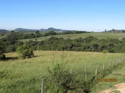 Foto 8 de 41: Area Rural em leilão em Cássia Dos Coqueiros - SP — IMOVEL - RURAL - SITIO com 16 hectares - ESTRUTURA COMPLETA - Perto do Asfalto na cidade de CÁSSIA DOS COQUEIROS