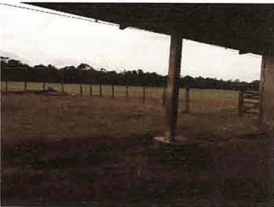 Foto 2 de 9: Terreno em leilão em Porto Dos Gaúchos - MT — IMÓVEL RURAL | A.T. 51 HA | ESTÂNCIA BLAU - EM PORTO DOS GAÚCHOS/MT