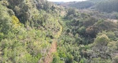 Foto 10 de 11: Area Rural em leilão em Quedas Do Iguaçu - PR, bairro Jardim Alegre — IMÓVEL RURAL COM ÁREA TOTAL DE 11,0255 hectares, EM QUEDAS DO IGUAÇU-PR