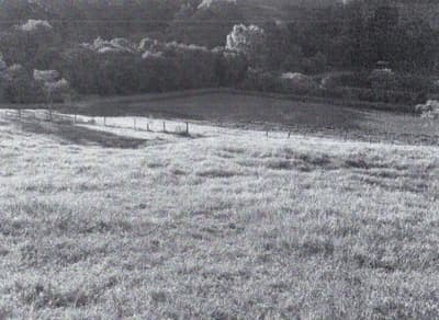 Foto 12 de 17: Area Rural em leilão em Videira - SC — IMÓVEL RURAL COM ÁREA TOTAL DE 40.194,49M2 EM VIDEIRA-SC
