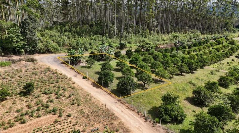Foto 4 de 6: Terreno em leilão em Dona Emma - SC — IMÓVEL URBANO COM ÁREA TOTAL DE 453,04 m2- Em DONA EMMA/SC