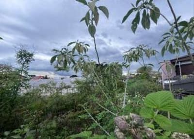 Foto 2 de 8: Terreno em leilão em Curitiba - PR, bairro Vista Alegre — IMÓVEL URBANO COM ÁREA TOTAL DE 800,00 m2- Em CURITIBA/PR
