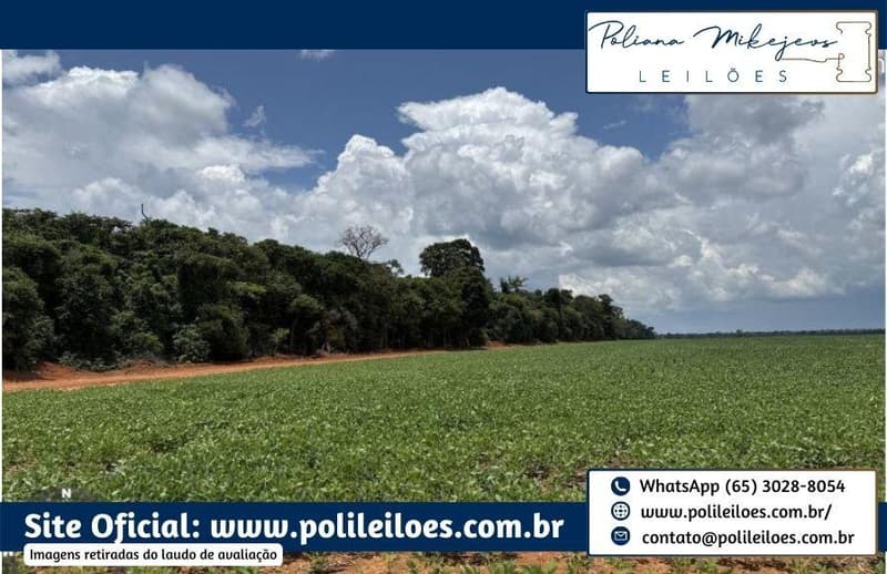 Foto 2 de 6: Area Rural em leilão em Vera - MT — Área Rural, 500ha, Fazenda Bom Retiro II, Gleba Atlântica com a Gleba Capen, no Município de Vera/MT