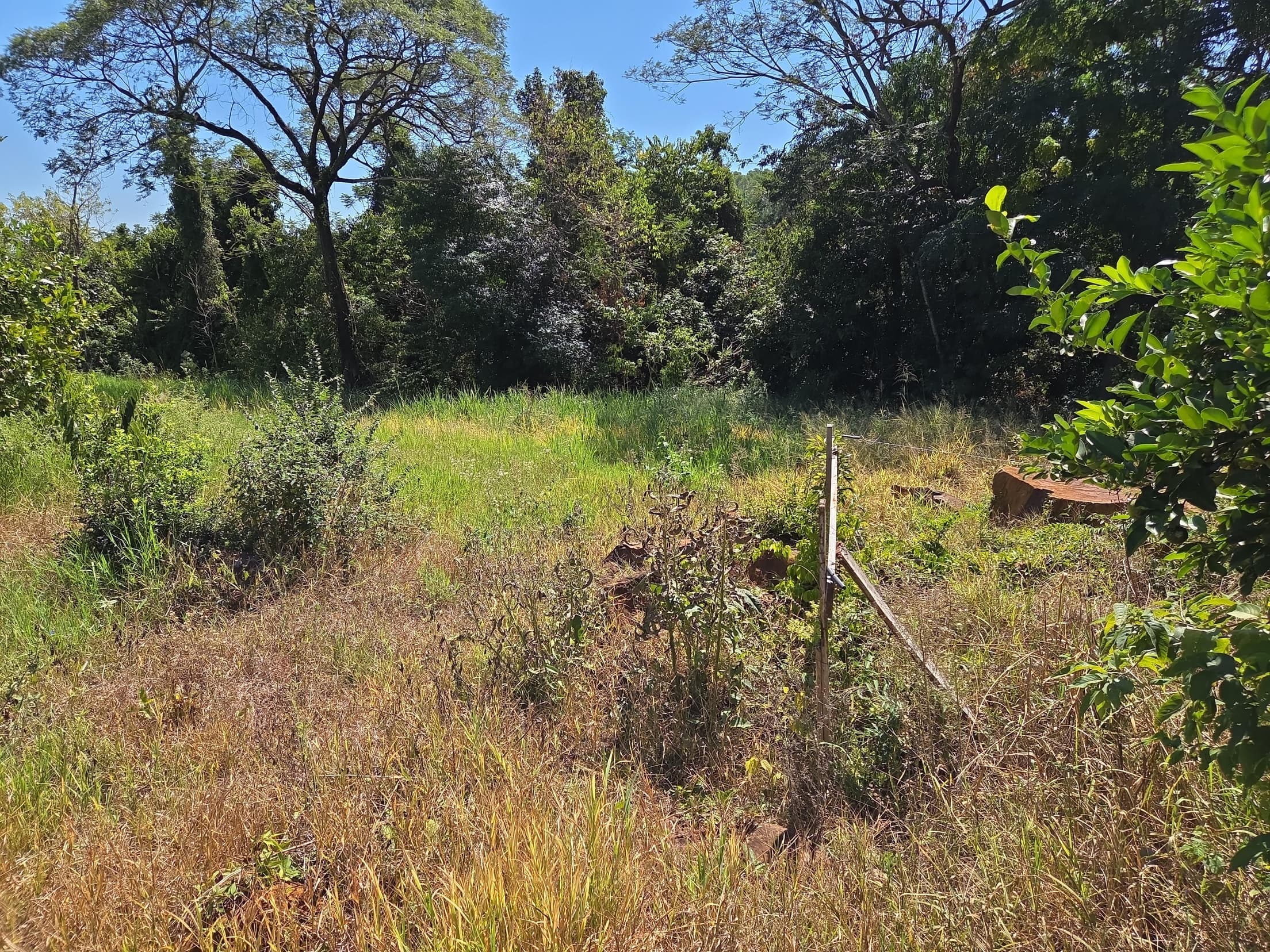 Foto 6 de 6: Terreno em leilão em Nova Prata Do Iguaçu - PR, bairro Distrito Turístico — LOTE URBANO Nº 11, QUADRA Nº 06 DO LOTEAMENTO PAINEIRA DO MUNICÍPIO DE NOVA PRATA DO IGUAÇU/PR ÁREA DE 897,59M²