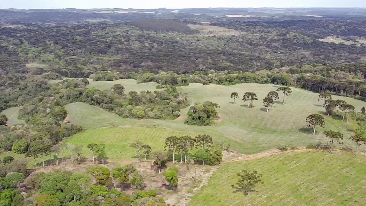 Foto 1 de 5: Area Rural em leilão em Guarapuava - PR, bairro Guairacá — Fazenda Marrecas | 54,23 Hectares | Guairacá | Guarapuava/PR