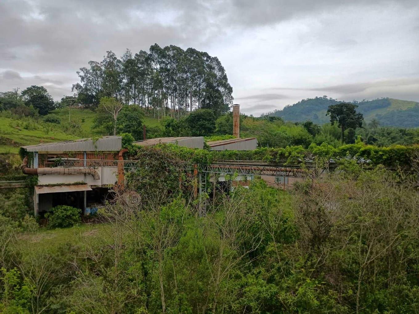 Foto 58 de 70: Area Rural em leilão em Amparo - SP, bairro Três Pontes — Imóvel Rural, A.T. 19ha, A.C. 7.362m², antigo abatedouro, galpões, casas, Três Pontes
