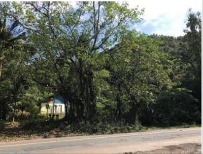 Foto 2 de 7: Terreno em leilão em Ibirama - SC — TERRENO URBANO com área total de 195.284,0 m²