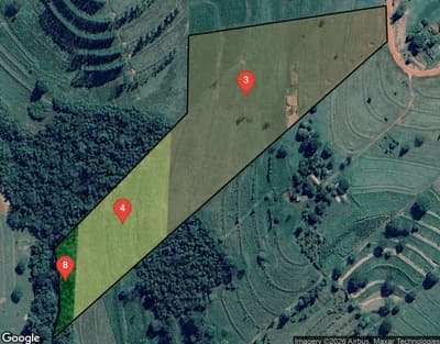 Foto 3 de 6: Area Rural em leilão em Pérola - PR — IMÓVEL RURAL COM ÁREA TOTAL DE 84.700 m2- Em PÉROLA/PR