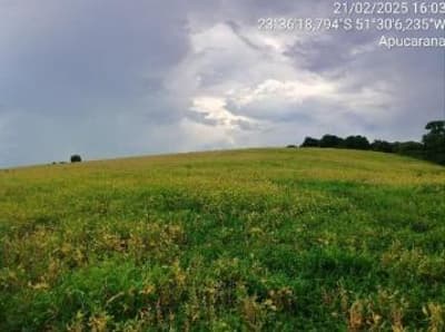 Foto 4 de 5: Area Rural em leilão em Apucarana - PR — IMÓVEL RURAL COM ÁREA TOTAL 49.973,64 m2- Em APUCARANA/PR