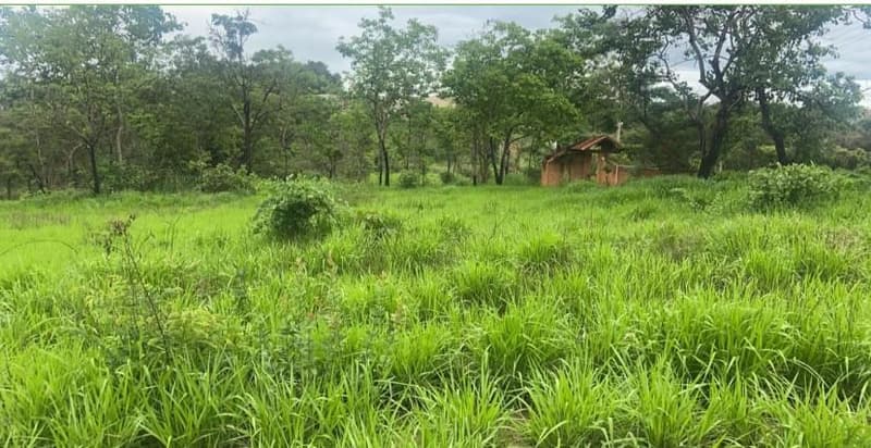 Casa em leilão em Caldas Novas - GO — CHÁCARA Nº 1, ÁREA 6, RUA 8, ESQ. COM AV. I, ESTÂNCIA CHÁCARA ITAPEMA, COM ÁREA DE 5.187,50 M², CALDAS NOVAS GO