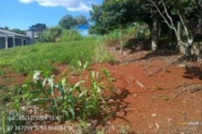 Foto 5 de 7: Terreno em leilão em Derrubadas - RS — TERRENO URBANO COM ÁREA TOTAL DE 450,00m² - TENENTE PORTELA/RS