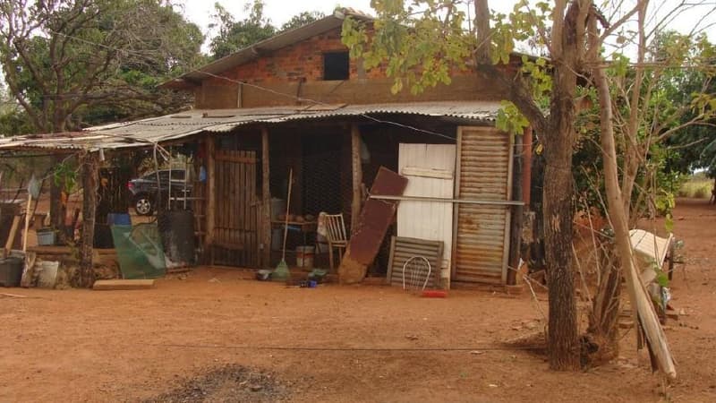 Foto 6 de 7: Area Rural em leilão em Presidente Epitácio - SP — GLEBA DE TERRAS, com a área de 16,1673 has