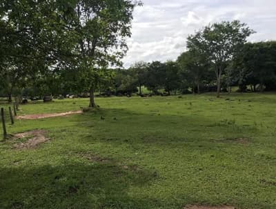 Foto 11 de 14: Comercial em leilão em Posse - GO — IMÓVEIS RESIDENCIAL, COMERCIAL E RURAL | POSSE/GO