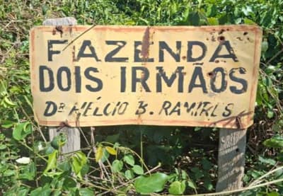 Foto 1 de 5: Area Rural em leilão em Teodoro Sampaio - SP — Área de terras com 196,4662 hectares, perímetro de 8.002,01m, sem benfeitorias.