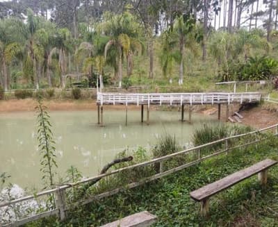 Foto 13 de 26: Area Rural em leilão em São João Do Triunfo - PR — IMÓVEL RURAL COM EXTENSÃO URBANA - ÁREA TOTAL DE 60.726,43 m²-AVENIDA DAS ARAUCÁRIAS-LADEIRA- SÃO JOÃO DO TRIUNFO-PR